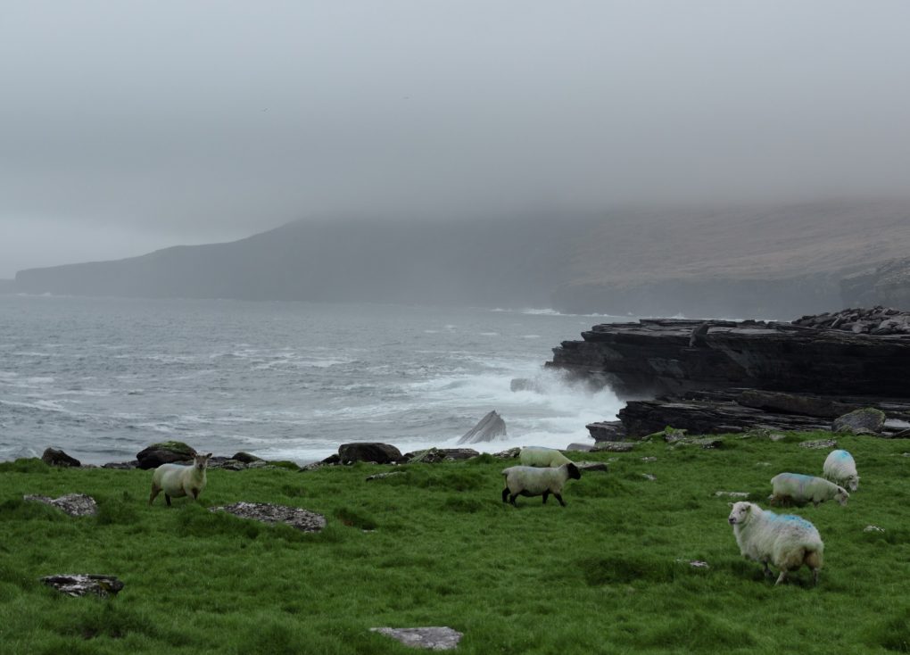 La légende des Pull Irlandais